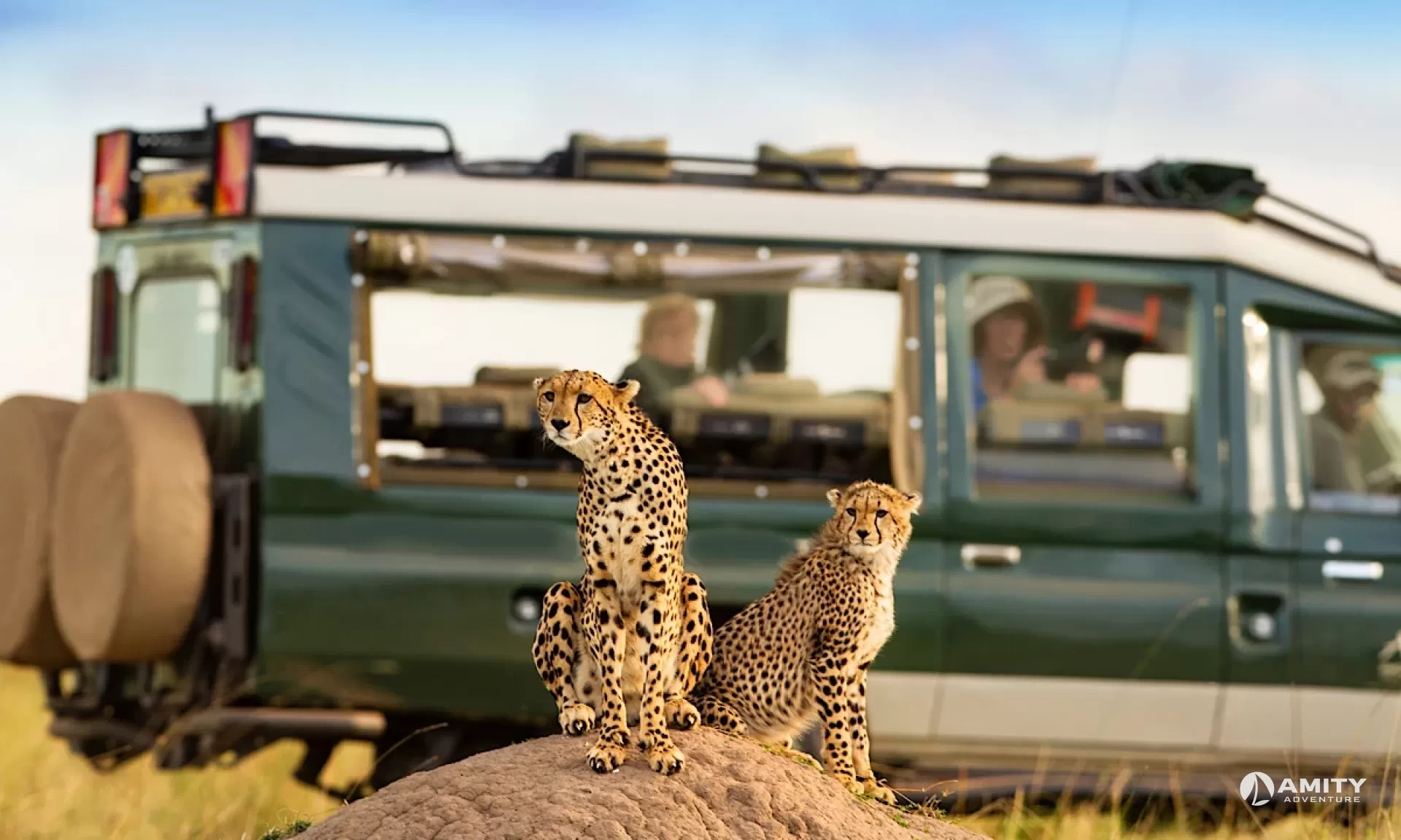Cape Town & African Safari Tours | Amity Adventure