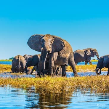 Okavango Delta