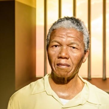 Explore Robben Island & Table Mountain Private Tours | Amity Adventure | Cape Town Tours